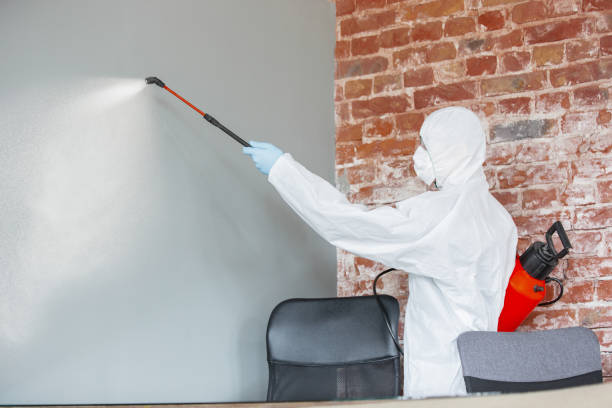 Best Crawl Space Mold Remediation  in South Bend, WA