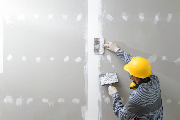 Best Biohazard Mold Removal  in South Bend, WA