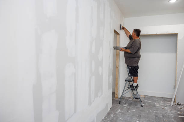 Best Asbestos and Lead Testing During Mold Inspection  in South Bend, WA