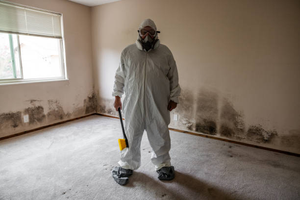 Best Mold Documentation for Insurance Claims  in South Bend, WA