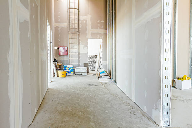Best Real Estate Mold Inspection  in South Bend, WA