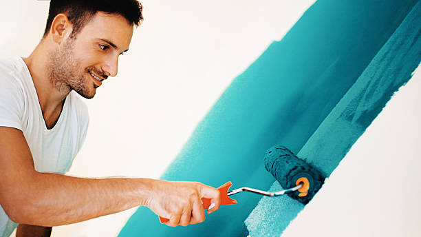 Best Black Mold Removal  in South Bend, WA