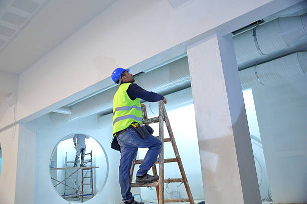 Best Emergency Mold Remediation  in South Bend, WA