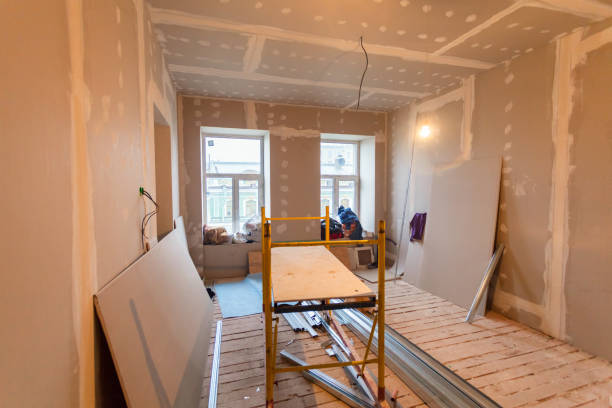 Best Attic Mold Removal  in South Bend, WA