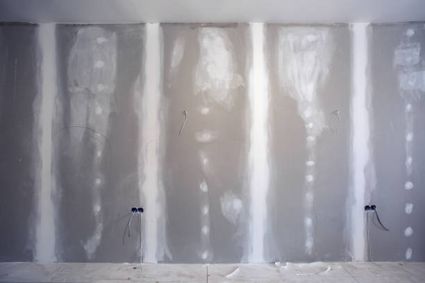 Best Water Damage & Mold Remediation  in South Bend, WA