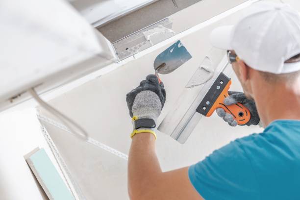 Best Basement Mold Removal  in South Bend, WA